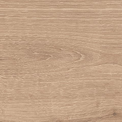 beige digue