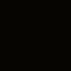 Coloris Noir mat