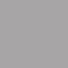 couleur gris souris 