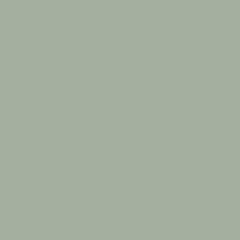 couleur vert olive