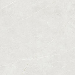 Carrelage Elite par Tau Ceramica en coloris White