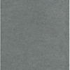 Grey Lavika