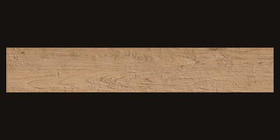 20x120<br>Beige