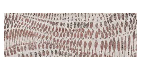 Décor Strata par Ibero en coloris Decor Beige