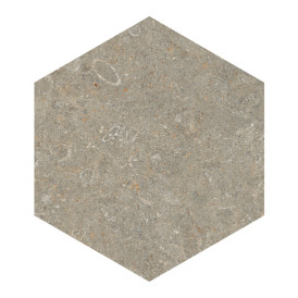 Décor Arkistyle par Marca Corona en coloris Arkistyle Fossil Hexagonal
