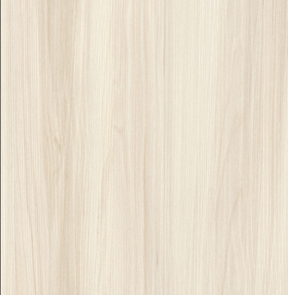 Bois blanc