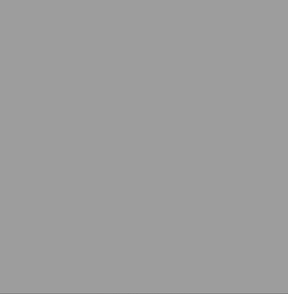 Gris platinium