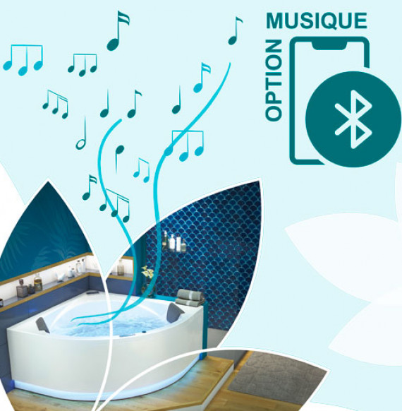 Musique via connexion bluetooth en option