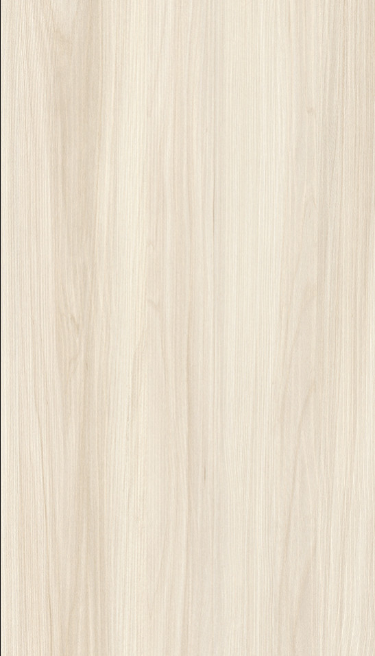 Bois blanc