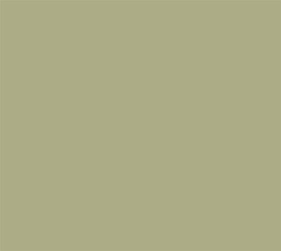 Coloris Vert Olive mat