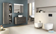 Collection pour Salle de Bain Inspira Roca 3