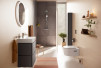 Colonne de douche Hansgrohe Showerpipe Top 240