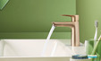 Collection de robinets Talis E FinishPlus Hansgrohe