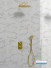OMEGA-PACK thermostatique douche complet or brossé de Cristina Ondyna