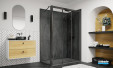 Paroi de douche sss Cariba CI D3R/L + CIFXP de Roth