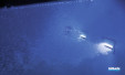 Baignoire Divina de Novellini