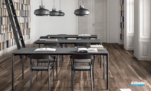 Collection Fleur de Bois par Ceramiche Piemme en coloris Brun