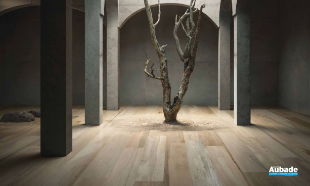 Collection Wood Design par GCR en coloris Light Walnut