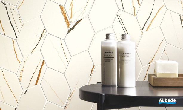 Collection lichen par Settecento mosaïque Hexa Lappato