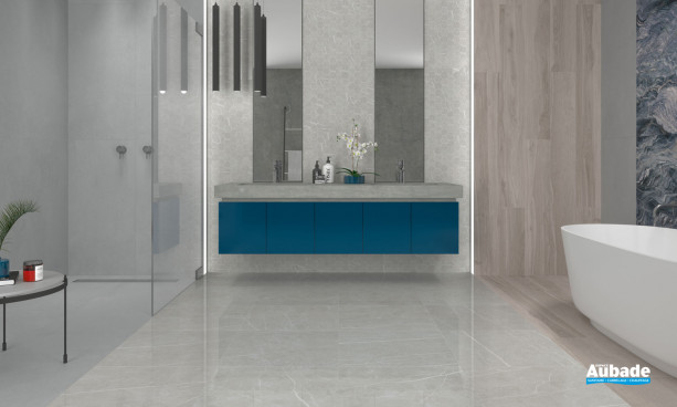 Collection Elite par Tau Ceramica en coloris Silver