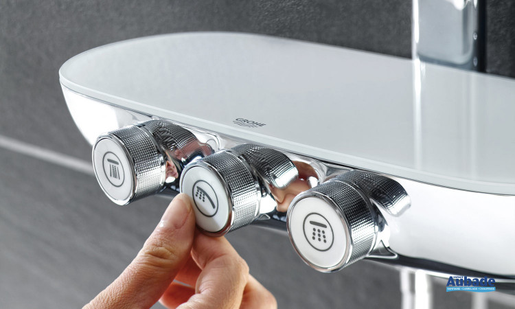 Colonne de douche Grohe Euphoria System 260 avec mitigeur thermostatique -  Le Temps des Travaux