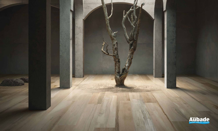 Collection Wood Design par GCR en coloris Light Walnut