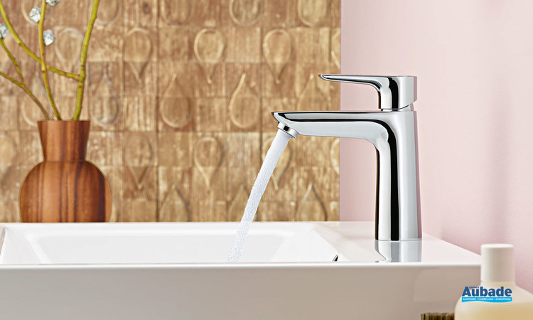 Collection de robinets Talis E FinishPlus Hansgrohe