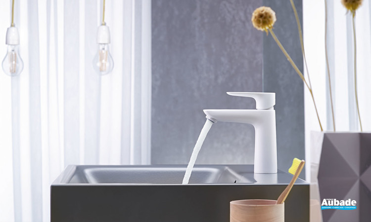 Collection de robinets Talis E FinishPlus Hansgrohe