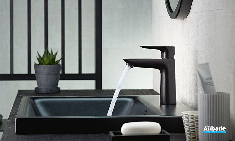 Collection de robinets Talis E FinishPlus Hansgrohe