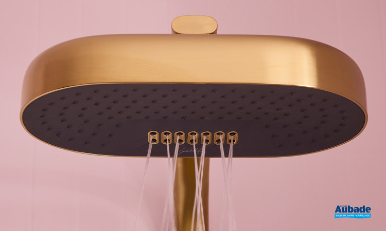 Pomme de tête Grands Boulevards Laiton brossé de Jacob Delafon