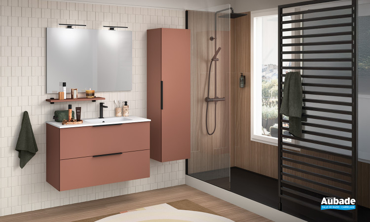 Meuble Delphy Pratic de Delpha