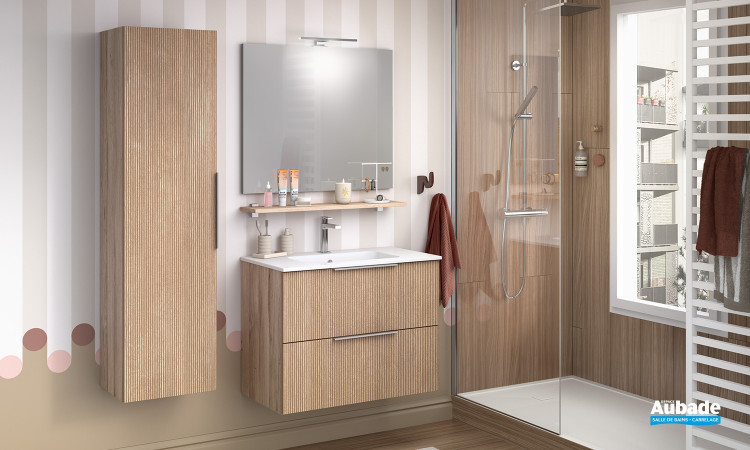 Meuble Delphy Pratic de Delpha