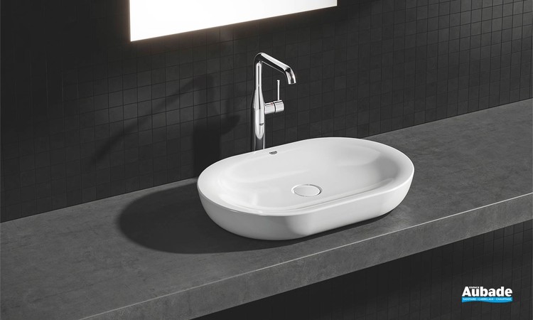 Mitigeur monocommande Lavabo Taille XL Essence Chromé