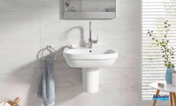 Mitigeur monocommande Lavabo Taille L Eurosmart Chromé ambiance 2