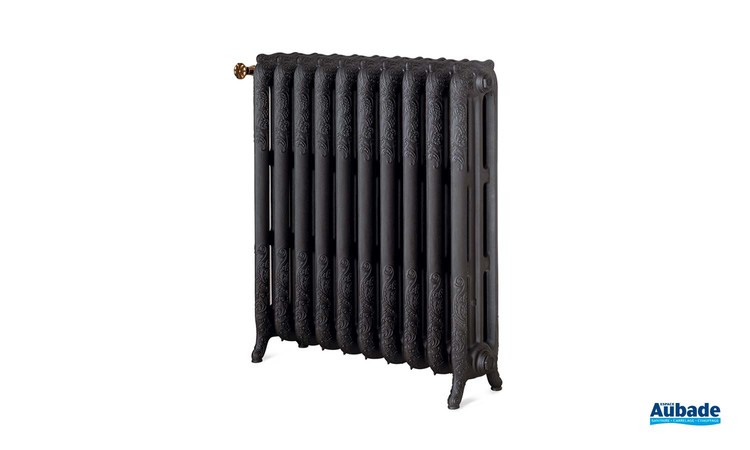 Radiateur pour chauffage central vintage Floréal de Chappee 