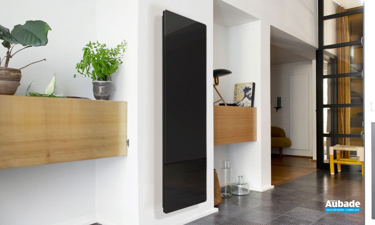 Radiateur Compaver Nativ par Intuis modèle vertical 1000w en coloris Noir astrakan
