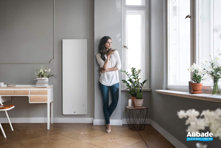 Radiateur Équateur 4 de Thermor