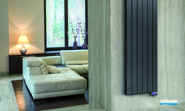 Radiateur électrique vertical au design contemporain Escallonia de Frico 01