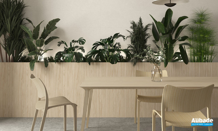 Collection Linewood par Tau Ceramica en coloris Haya