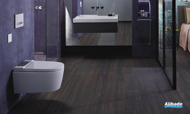 toilettes wc lavant geberit aquaclean sela