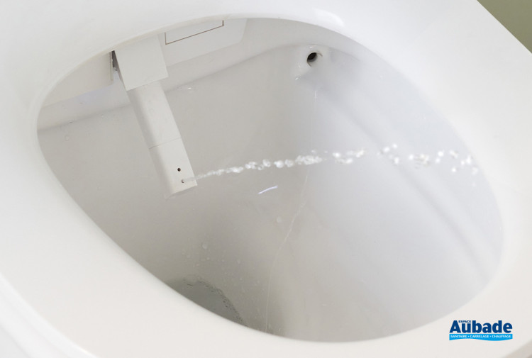 WC lavant suspendu Seine