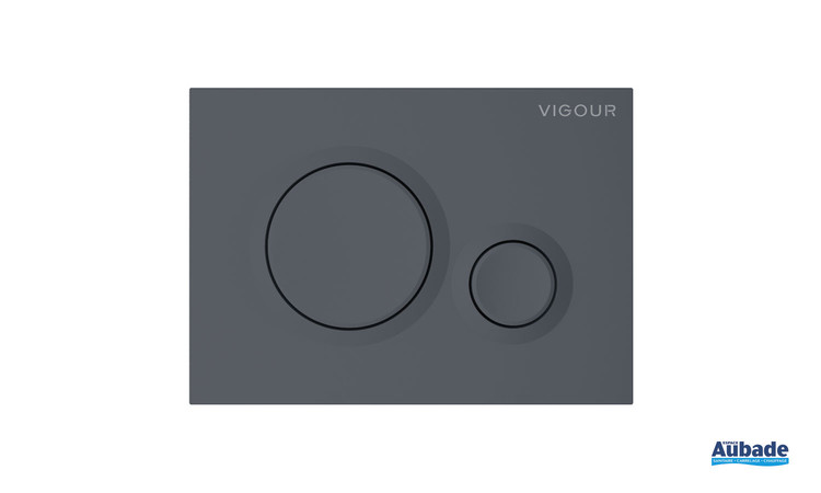 Plaque de commande WC Round de la gamme Derby Style coloris Anthracite mat par Vigour