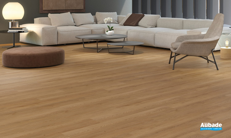 Sol souple Global de Zenon