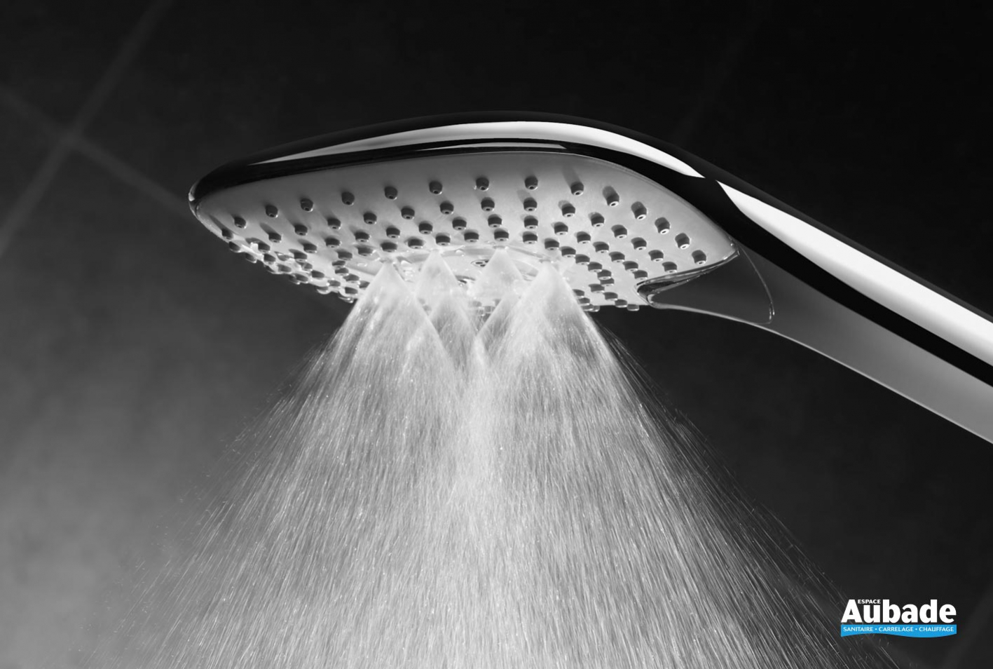 Colonne de douche Douchette IdealRain Evo Jet Ideal Standard Espace