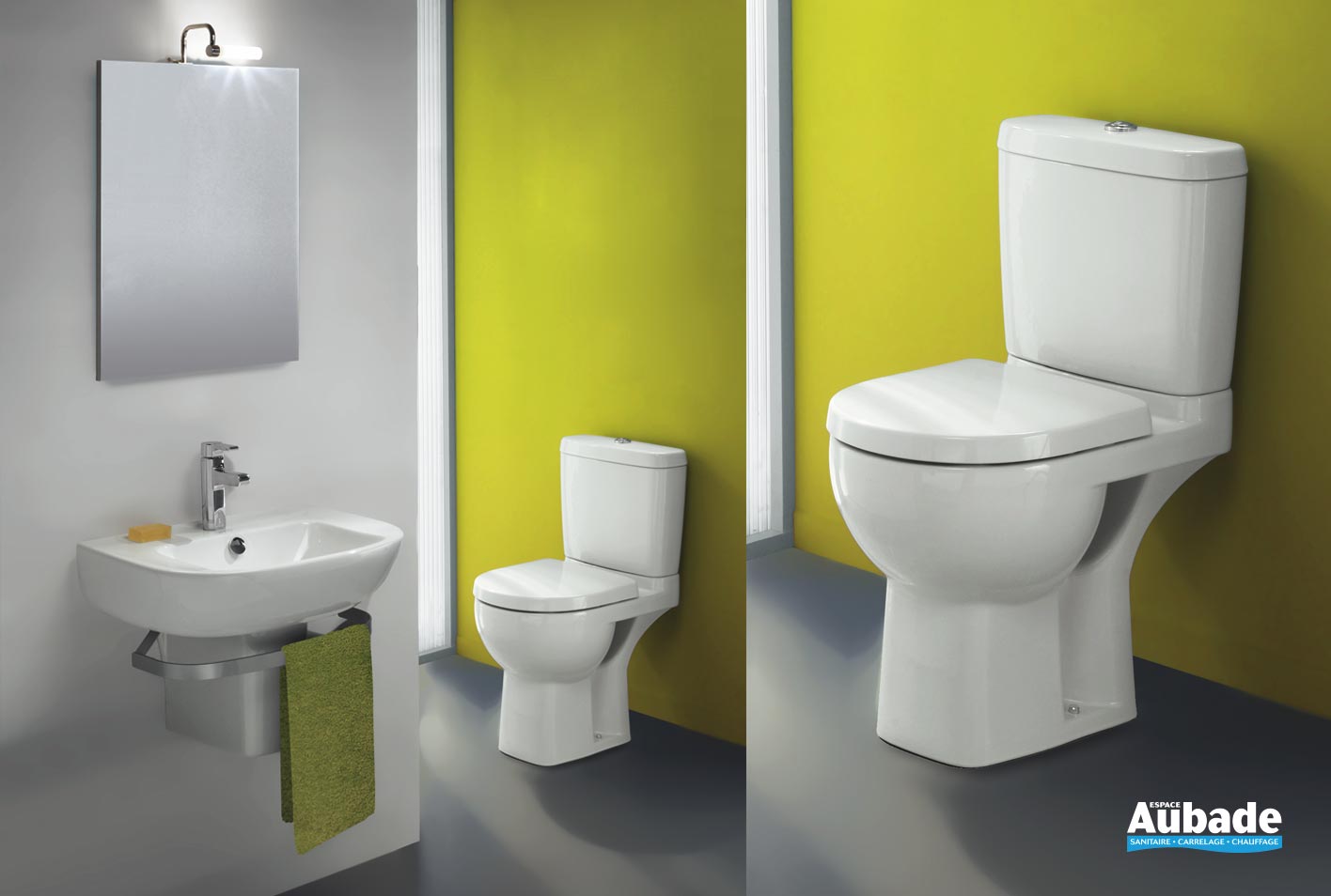 Toilette Jacob Delafon