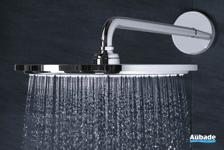 Hydrothérapie : douche de tête ronde Rainshower