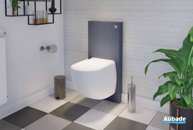 Broyeur WC Sanicompact Comfort + Applique de SFA
