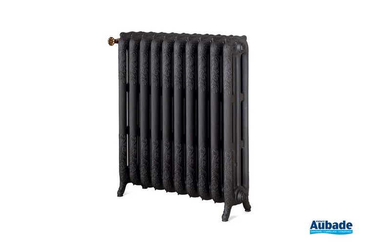 Radiateur pour chauffage central vintage Floréal de Chappee 