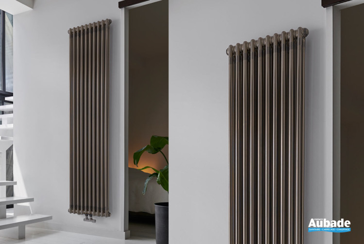 Radiateur Vuelta Vertical de Acova