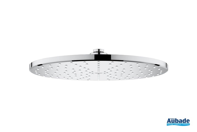 Douche de tête ronde Rainshower 310 Mono